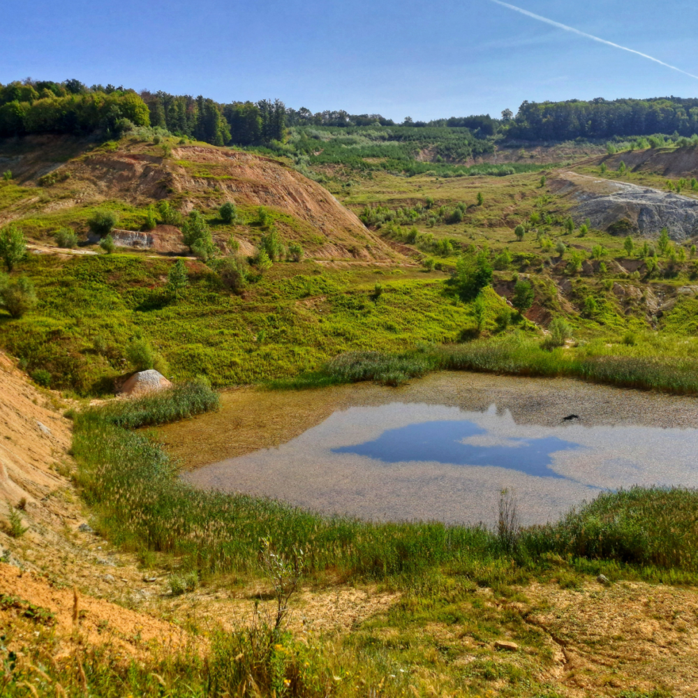 Névtelen terv Névtelen terv