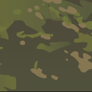 MULTICAM (3) MULTICAM (3)