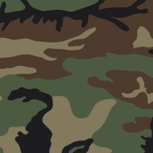 US_Woodland_pattern.svg US_Woodland_pattern.svg