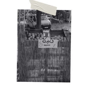 Névtelen terv (9) Névtelen terv (9)